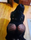 Фотография №3317672