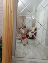 Фотография №3838975