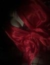 Фотография №4086037