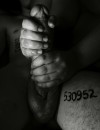 Фотография №4097931