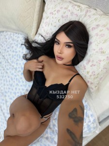 Транс Алматы Транс№532750 Айла нажми на имя Фотография №4132644