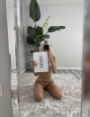 Фотография №4222006